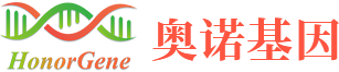 奥诺基因