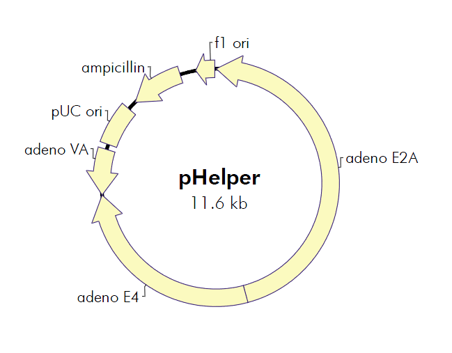 pHelper.png